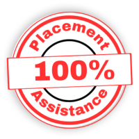 100% placement assistance stamp of edu plus now.